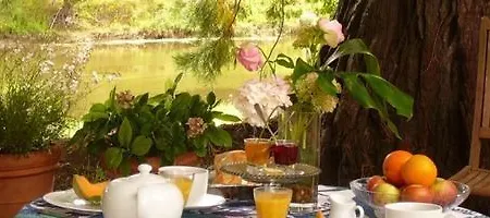 La Marronniere Cheffes-sur-Sarthe